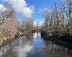 Brunette River, from Braid St. bailey bridge