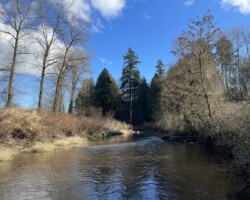 Brunette River, from Lower Hume Park