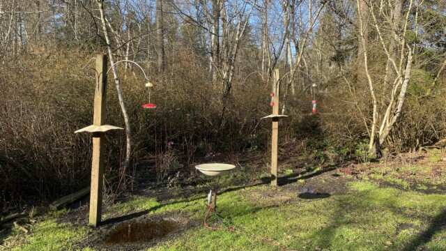 Empty feeders at Richmond Nature House