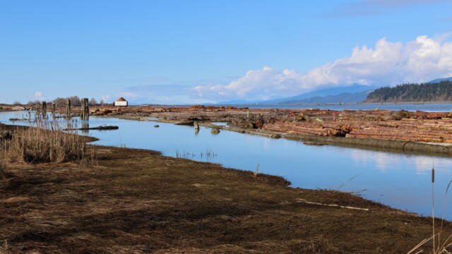 Looking down the Fraser River