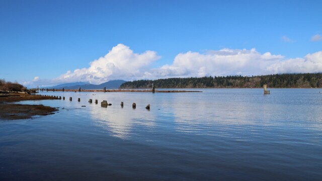 Another shot of the Fraser River, looking west