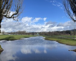 Flooded field. No sportsball for you!