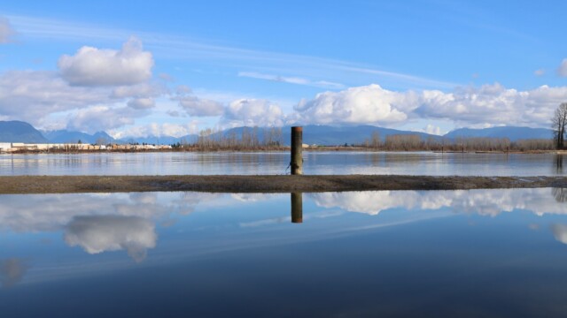 A piling out by itself on the Fraser River