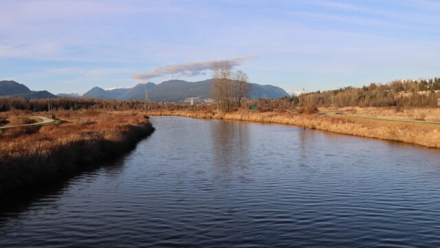 Coquitlam River as golden hour approaches