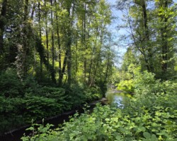 View from the trail