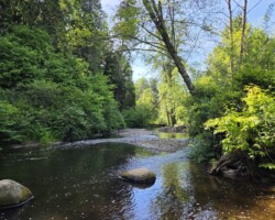 Looking west