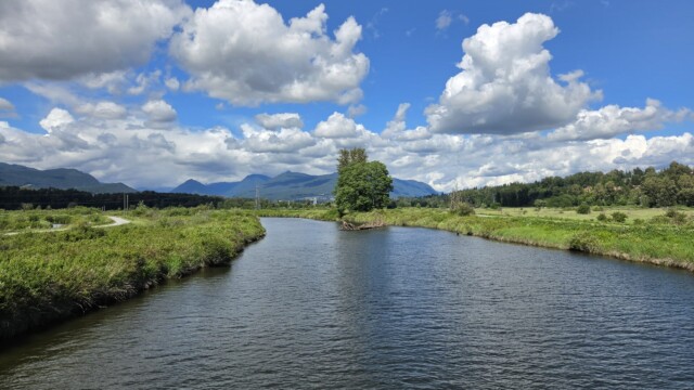 Coquitlam River running high.