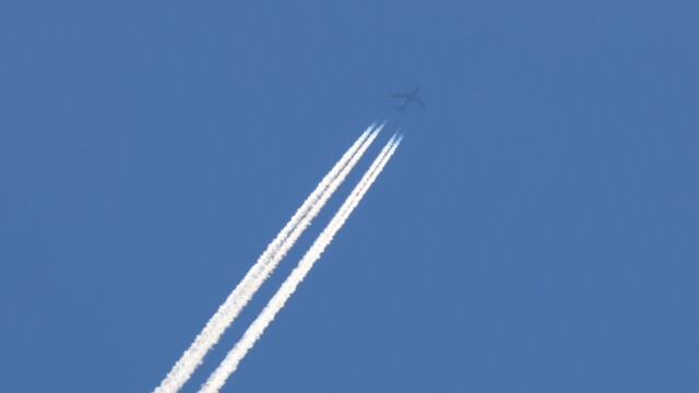 Fixed-wing bird, with contrails.