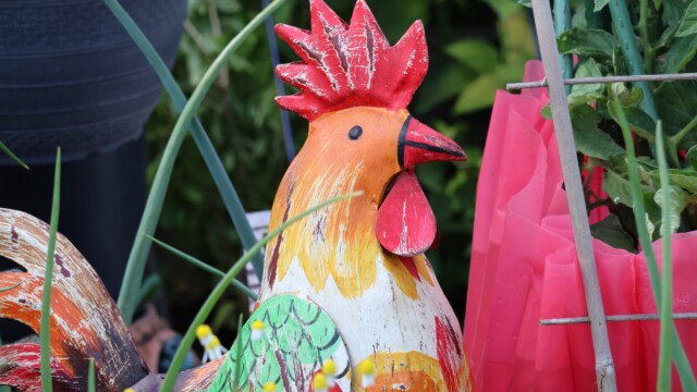 Rooster kitsch.
