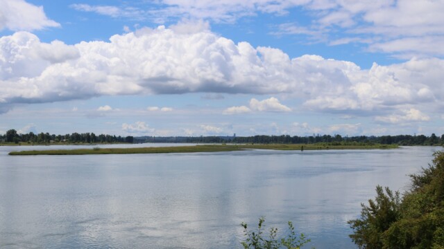 Pitt River.