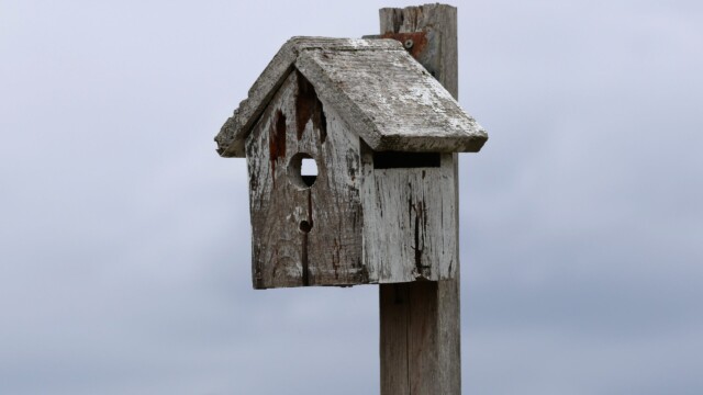 Abandoned birdhouse at the community garden.
