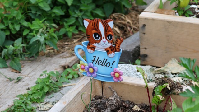 Hello kitty!