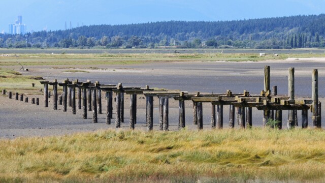 Decrepit pier over absent water.