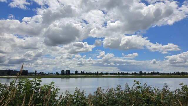 Pitt River.