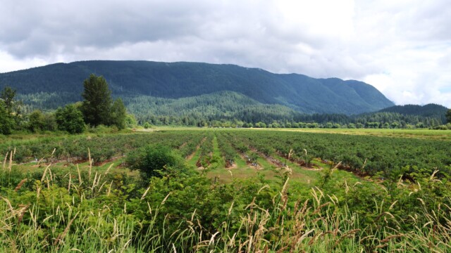 Scenery along the DeBoville Slough.
