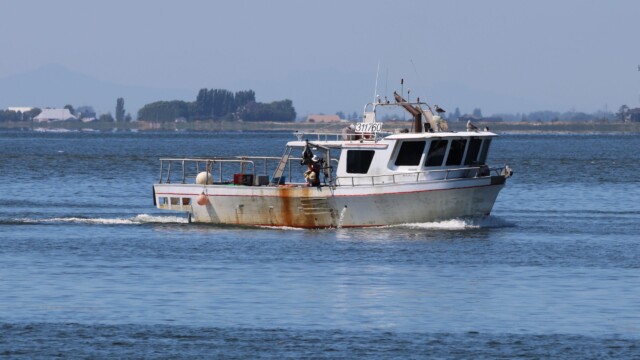 A boat with people, rust and two hitchhiking gulls.
