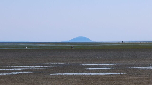 Boundary Bay, looking toward the U.S., mostly absent of water at low tide.
